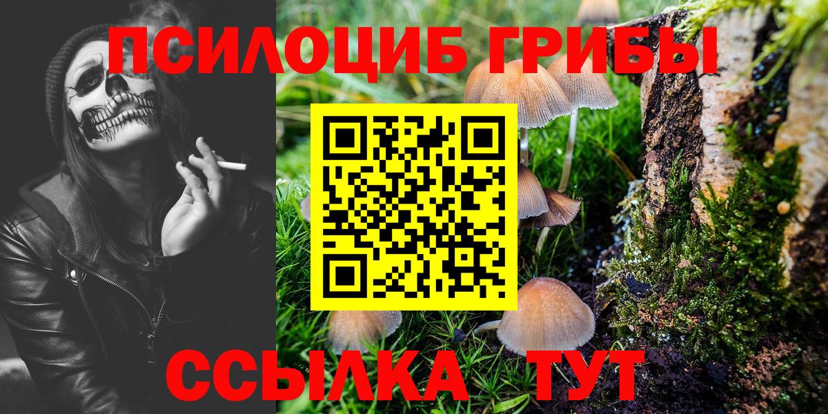 Реутов  Галлюциногенные грибы MAGIC MUSHROOMS  Вход с VPN 