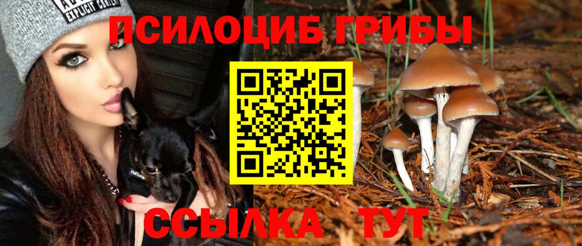 Галлюциногенные грибы ЛСД Реутов