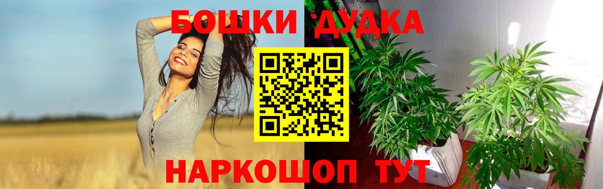 МАРИХУАНА семена  Вход с VPN  Канабис SATIVA & INDICA  Реутов  МАРИХУАНА Bruce Banner 